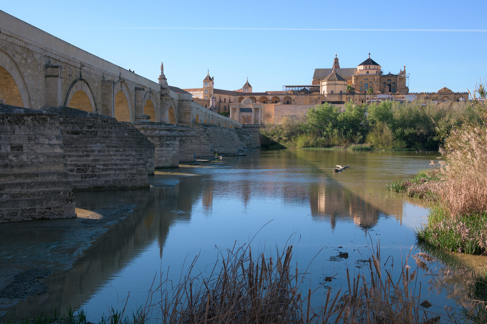 Realidad