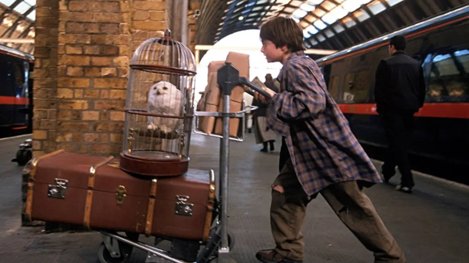 Fotograma de Harry Potter y la piedra filosofal